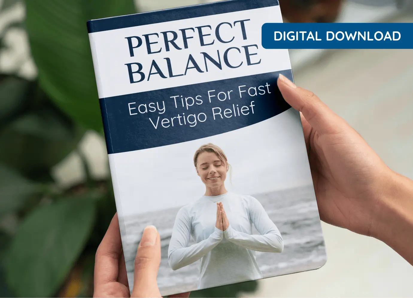 Perfect Balance Guide